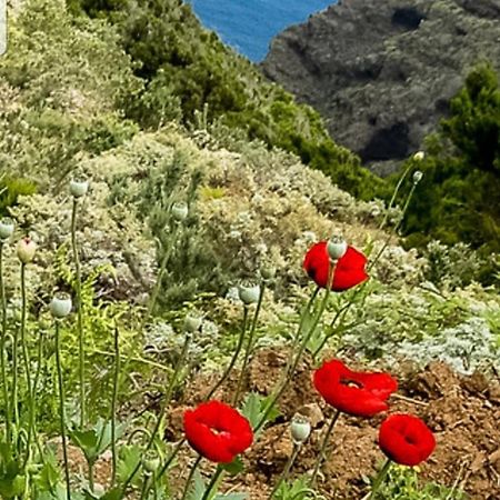The Poppies Guest House - 100M Ocean - Private Spaces Канделарія Екстер'єр фото