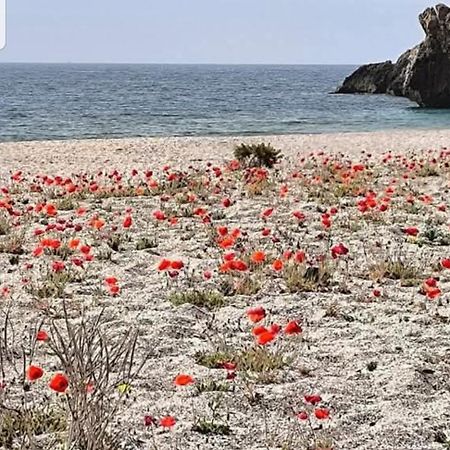 The Poppies Guest House - 100M Ocean - Private Spaces Канделарія Екстер'єр фото