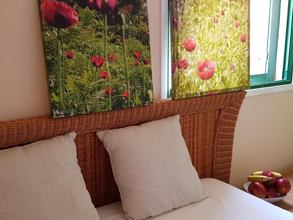 The Poppies Guest House - 100M Ocean - Private Spaces Канделарія Екстер'єр фото