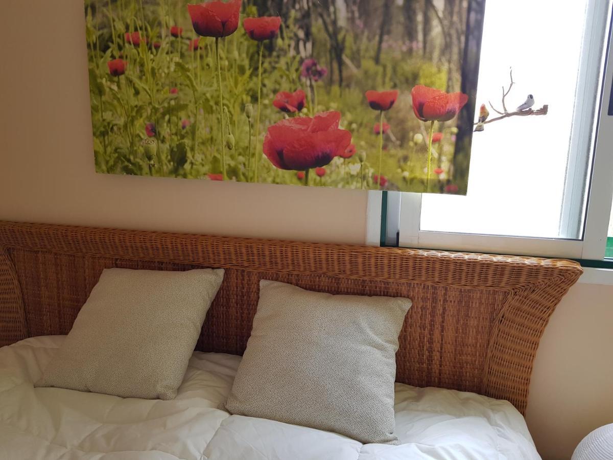 The Poppies Guest House - 100M Ocean - Private Spaces Канделарія Екстер'єр фото